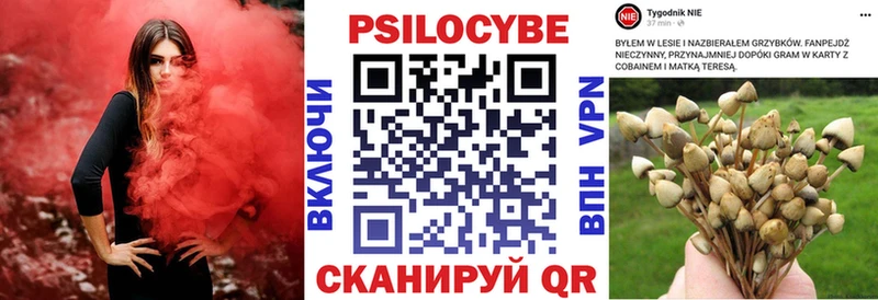 Галлюциногенные грибы прущие грибы  Купить  Ливны 